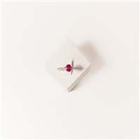 Anello Donna in Oro bianco Rubino Monaldi Gioielli A2041RU-DAV